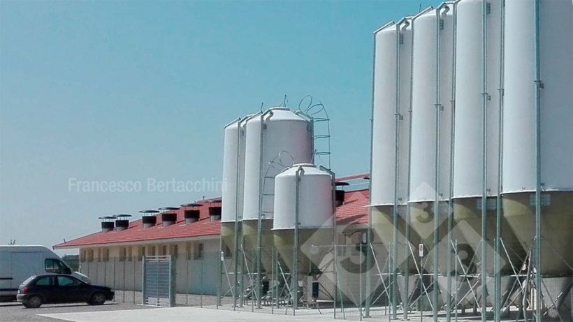 Il modo in cui l’allevamento si presenta agli occhi di un possibile candidato contribuisce in modo determinante ad influenzarne l’opinione. Il perimetro aziendale rappresenta insieme agli spogliatoi il biglietto da vista dell’allevamento stesso.