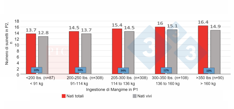 Figura 1. Effetto del consumo di mangime nel 1&deg;&nbsp;parto sulla dimensione della figliata del 2&deg;&nbsp;parto. Vale la pena ridurre i cali di consumo nelle giovani femmine. Fonte: PIC North America Technical Services (non pubblicato).

