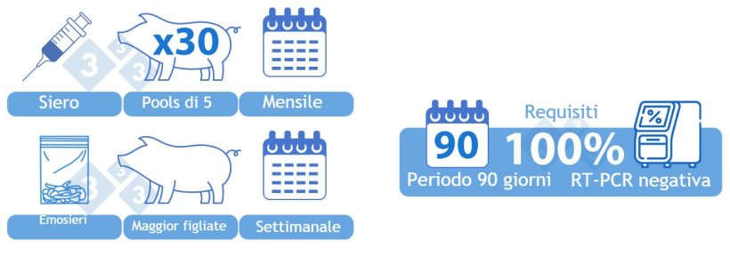 Positivo&nbsp;Stabile&nbsp;(II). OPZIONE&nbsp;2) Combinazione di siero e fluidi di lavorazione-emosieri. Siero di 30 suinetti allo svezzamento analizzato mensilmente in "pool" di cinque. Un campione aggregato di fluidi di lavorazione-emosieri analizzati settimanalmente mediante RT-PCR. La maggior parte delle figliate "processate"&nbsp;durante la settimana dovrebbe essere rappresentata nel campione. Tutti i campioni devono essere negativi per un periodo di 90 giorni per raggiungere la categoria.
