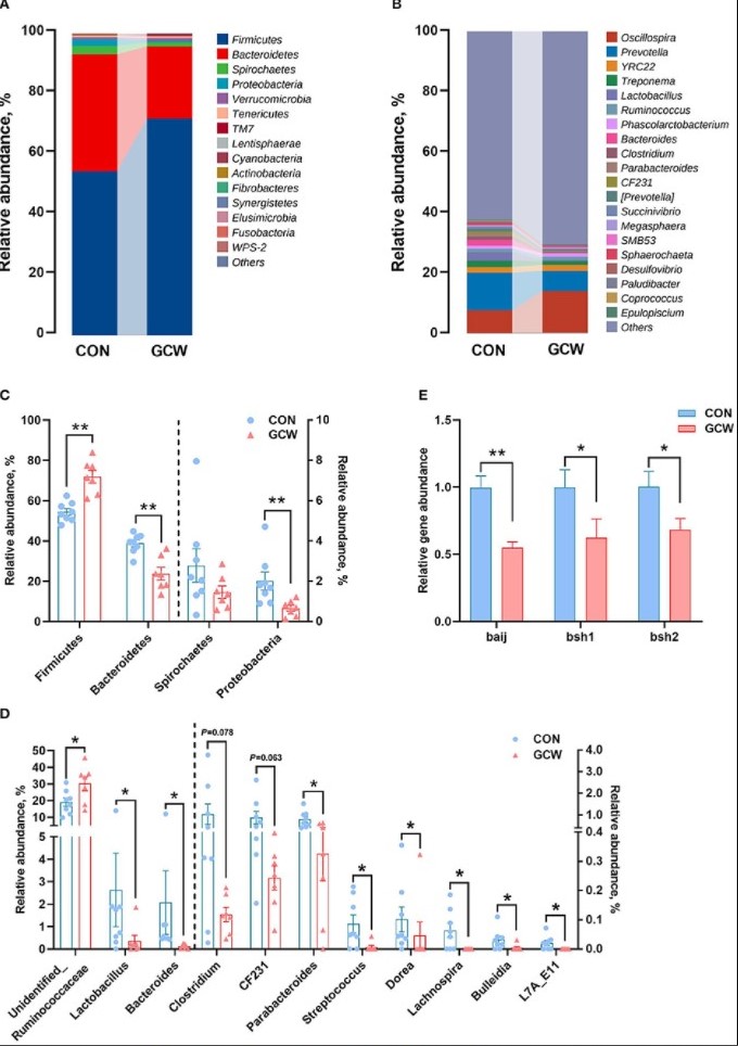 Figura 2. Profili di composizione del microbiota intestinale. Grafico a barre che mostra l'abbondanza relativa di microbiota ai livelli di phylum (A) e genere (B) per i gruppi di controllo e GCW. Diversi livelli di batteri a livello del phylum (C) e del genere (D) tra i gruppi di controllo (n = 8) e GCW (n = 7). (E) Abbondanza relativa di geni coinvolti nella 7&alpha;-deidrossilazione degli acidi biliari (baij) e nell'idrolisi dei sali biliari (bsh1 e bsh2) tra i gruppi di controllo (n = 15) e GCW (n = 14). I dati sono presentati come medie &plusmn; SEM. *p<0,05, **p<0,01.
