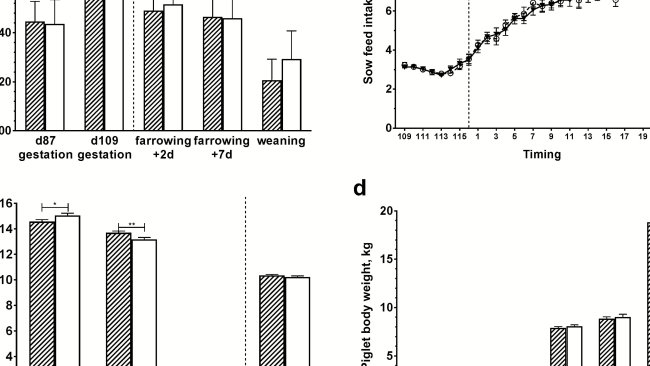 Fig.1 Peso vivo di scrofe e suinetti, assunzione di mangime per scrofe e tratti riproduttivi. BW delle scrofe (riquadro a); assunzione di mangime per scrofe (pannello b); tratti riproduttivi delle scrofe (pannello c); Sono raffigurati BW di suinetti (pannello d). Le barre bianche aperte rappresentano il gruppo di controllo, le barre tratteggiate rappresentano il gruppo trattato con amoxicillina. La linea tratteggiata indica il momento del parto; Le barre di errore indicano l'errore standard della media; * P<0,05; ** P < 0,01; *** P<0,001.