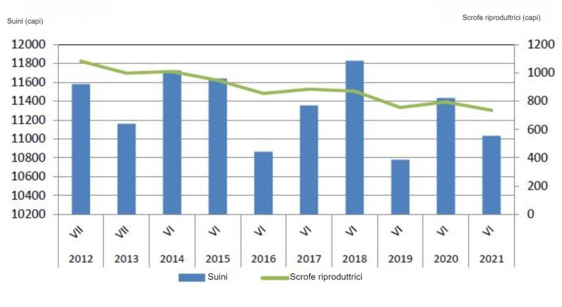 Evoluzione del censimento dei suini in Polonia. Fonte: GUS.
