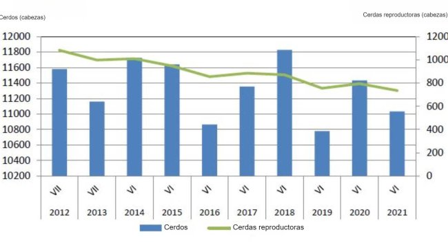 Evoluzione del censimento dei suini in Polonia. Fonte: GUS.