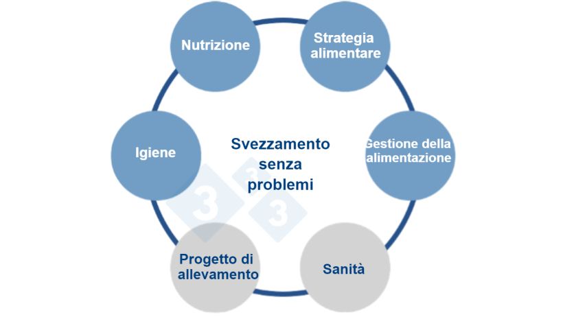 Figura 1. Un approccio multifattoriale alla dieta senza zinco. Fonte: Vilomix.