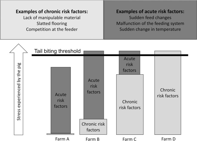 Fig. 1. Modello teorico dell'effetto cumulativo dei fattori di rischio acuti e cronici sugli episodi di morsicatura delle code.