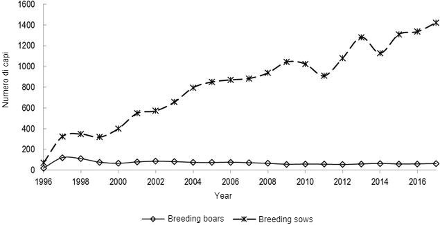 Figura 1. Censimento della razza suina Guascone, che presenta il numero di scrofe e verri all'anno, a partire dall'anno di costituzione del Libro Genealogico.
