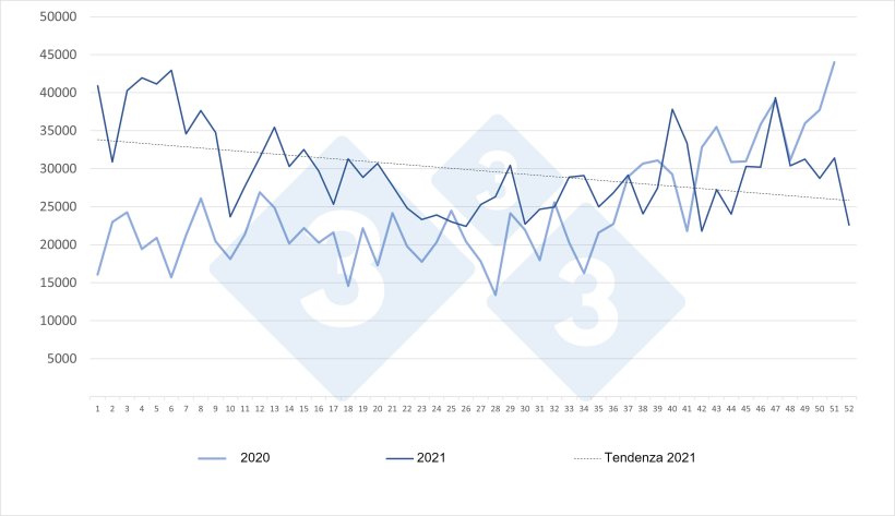 Evoluzione delle importazioni settimanali spagnole di suinetti olandesi per gli anni 2020 e 2021. Fonte: 333 su dati RVO.