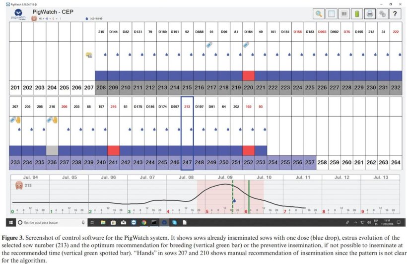 Screenshot del software PigWatch che mostra le scrofe gi&agrave; inseminate con una dose (goccia blu), l'evoluzione dell'estro delle scrofe in analisi (213) e il consiglio ottimale per l'inseminazione (barra verticale verde) o dell'inseminazione preventiva se non fosse possibile l'inseminazione nell'orario proposto (barra verticale verde tratteggiata). "Con le mani" la scrofa 207 e 210 mostra la tecnica manuale in assenza di un algoritmo.
