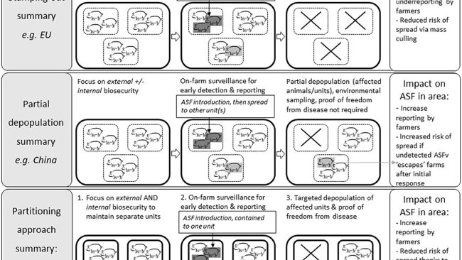 Figura 1. Confronto tra i principi dell'approccio standard di controllo della PSA, depopolamento parziale e approccio di partizionamento, utilizzando un'allevamento di esempio con tre unità epidemiologiche (ad esempio, tre capannoni da ingrasso).