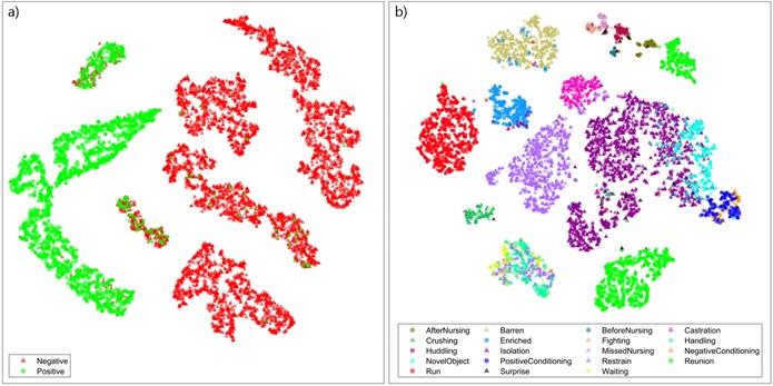Classificazione dei richiami alla valenza e contesto di produzione in base a t-SNE. Incorporamento t-SNE di (a) valenza (incorporando perplessit&agrave; = 50) e (b) contesto (incorporando perplessit&agrave; = 20) classificando le ultime attivazioni del livello completamente connesso della rete neurale per ogni spettrogramma (i grafici t-SNE visualizzano la probabilit&agrave; che due punti siano vicini in uno spazio multivariato originale). I triangoli indicano le vocalizzazioni di valenza negativa, mentre i cerchi indicano quelle positive (vedi Testo supplementare per maggiori informazioni sulle impostazioni utilizzate per questa figura).
