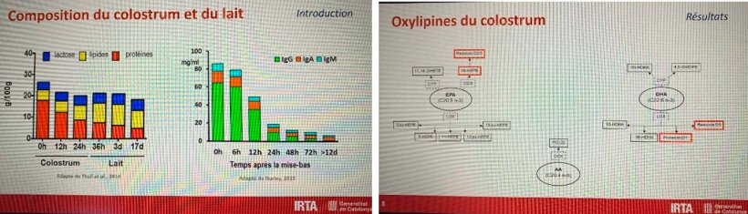 Composizione del colostro.