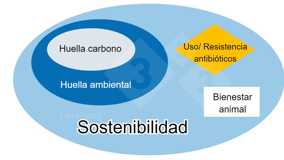 Figura 1. Principales conceptos de sostenibilidad.
