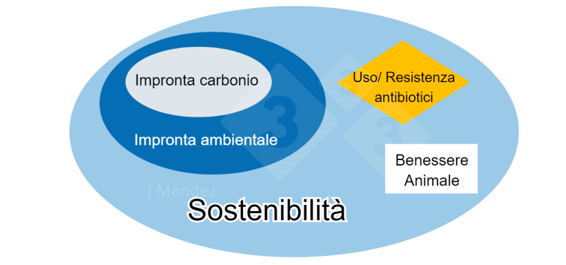 Figura 1. Principales conceptos de sostenibilidad.