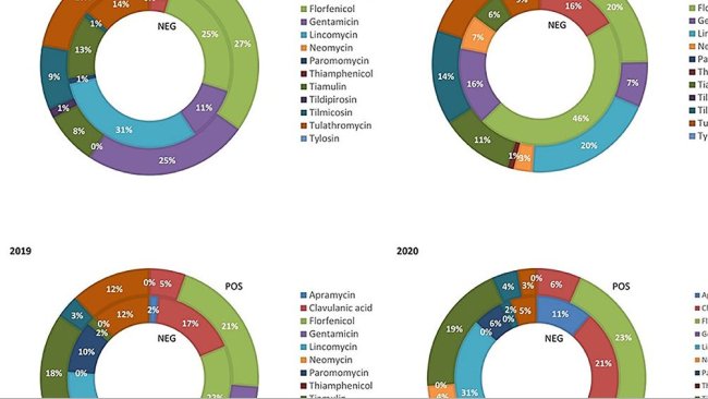 Figura 1. Quantità relativa del peso dei suinetti svezzati trattati con antibiotici di classe C nelle filiere PRRS negative (NEG) e PRRS positive (POS) dal 2017 al 2020.