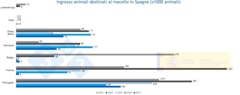 Figura 3. Entrata di suini con destinazione macello in Spagna dal 2021 al 2021 Fonte MAPA.
