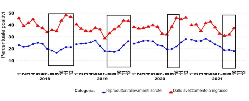 Grafico 1. Percentuale di campioni PCR positivi per le categorie di riproduttori e suini dallo svezzamento alla vendita. I riquadri neri mostrano i picchi più ripidi e/o precoci nei dati dallo svezzamento alla vendita rispetto a quelli dei riproduttori/scrofe. Fonte: ISU-VDL: Iowa State University Veterinary and Diagnostic Laboratory; UMN-VDL: University of Minnesota Veterinary and Diagnostic Laboratory; SDSU-ADRDL; South Dakota State University Animal Disease Research and Diagnostic Laboratory; KSU-VDL: Kansas State University Veterinary and Diagnostic Laboratory; OH-ADDL: Ohio Animal Disease and Diagnostic Laboratory.