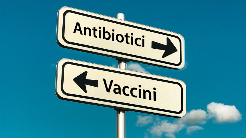 L'intensificazione della produzione di mangimi e l'emergere di nuovi sistemi di produzione (come "Allevati senza antibiotici" o sistemi biologici) ha portato all'emergere, o al riemergere, di agenti patogeni. Queste nuove tendenze sociali, insieme al desiderio di ridurre l'uso di antimicrobici nella produzione animale, sottolineano l'importanza di migliorare i vaccini esistenti e/o sviluppare nuove strategie di vaccinazione per combattere i patogeni emergenti o riemergenti.