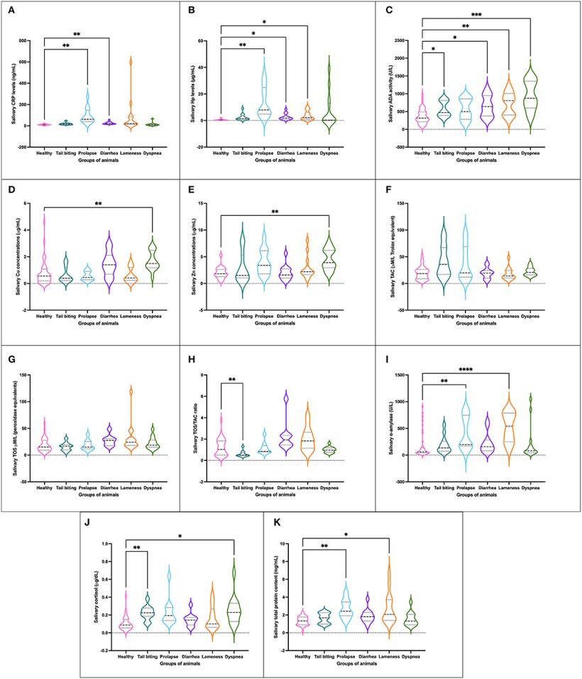 Figura 1. Concentrazione degli analiti salivari studiati [CRP (A), Hp (B), ADA (C), Cu (D), Zn (E), TAC (F), TOS (G), rapporto TOS/TAC (H ), alfa-amilasi salivare (I), cortisolo (J) e TP (K)] in suini sani (n = 40) e animali affetti da una condizione patologica (lesioni da morsicatura n = 13, prolasso rettale n = 13, diarrea n = 13, zoppia n = 14 o dispnea n = 14). Grafico che mostra la distribuzione della popolazione (a seconda che la trama si stia allargando o restringendo), la mediana (linea orizzontale centrale), il 25&deg; e il 75&deg; percentile (linee orizzontali non centrali all'interno della trama), massimo e minimo (bordi della figura ). Le differenze statistiche sono indicate da *, **, *** e **** rispettivamente per p < 0,05, p < 0,01, p < 0,001 e p < 0,0001. CRP, proteina C-reattiva; Hp, aptoglobina; ADA, adenosina deaminasi; TAC, capacit&agrave; antiossidante totale; TOS, stato ossidante totale; TP, proteine totali.
