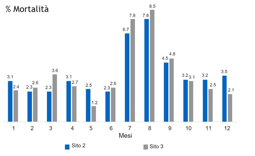 Figura 2. % di mortalità nei capannoni dei siti 2 e 3