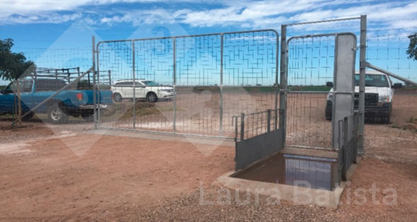 Foto 2. Pediluvi prima di entrare nella zona grigia dell'allevamento