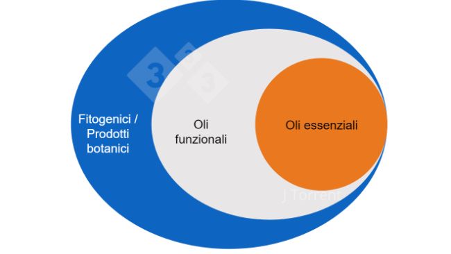 Figura 1. Illustrazione della terminologia utilizzata per descrivere oli essenziali, oli funzionali e prodotti botanici o fitogenici.
