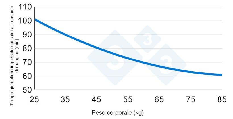 Grafico 2. Variazione del tempo dedicato al consumo di mangimi durante la fase di accrescimento.&nbsp;Adattato da&nbsp;Hyun et al., 1997.
