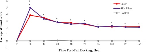 Confronto tra il taglio della coda con le due modalit&agrave; studiate per quanto riguarda lo stato della ferita nel tempo dopo l'intervento.
