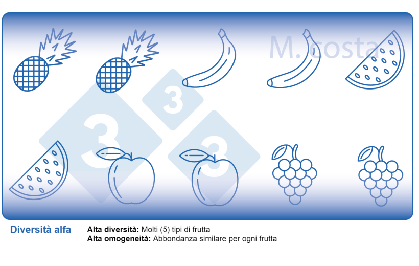 Figura 2. Come interpretare le misurazioni della diversit&agrave; microbica dei campioni (diversit&agrave; alfa). La variet&agrave; &egrave; un parametro della diversit&agrave; (ad esempio i tipi di frutta) e dell'omogeneit&agrave; (ad esempio la distribuzione o abbondanza di ogni tipo di frutto) in un dato campione.
