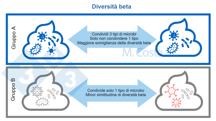Figura 3. Comprensione dei cambiamenti nella composizione microbica tra i campioni (diversit&agrave; beta). Una comunit&agrave; microbica pi&ugrave; simile condivide pi&ugrave; tipi di microbi tra i campioni. Normalmente, per calcolare l'indice di diversit&agrave; beta vengono presi in considerazione altri aspetti (come le relazioni genetiche tra i microbi).
