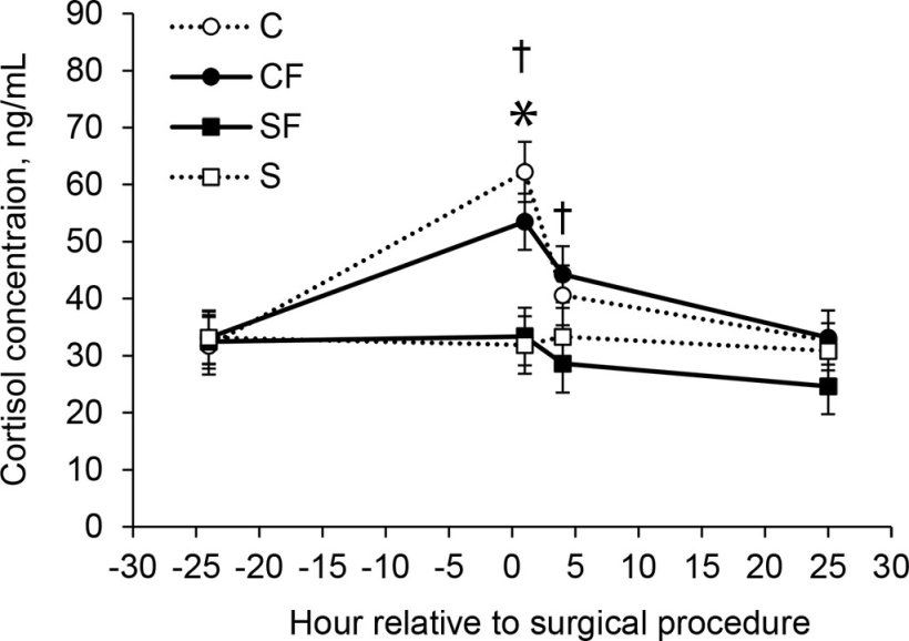 Figura 2.
Concentrazioni medie ± SEM di cortisolo per suinetti nei gruppi SF (n = 624), CF (n = 688), S (n = 528) e C (n = 516). *Le concentrazioni erano significativamente (P ≤ .05) diverse tra i gruppi C e S. †Le concentrazioni erano significativamente (P ≤ .05) diverse tra i gruppi CF e SF.
Fonte: American Journal of Veterinary Research 83, 9; 10.2460/ajvr.21.12.0201