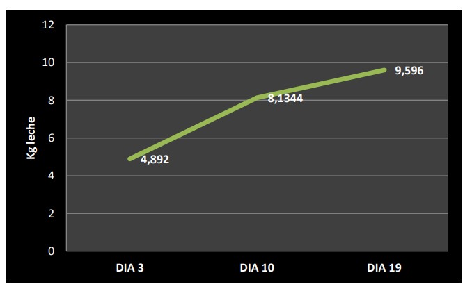 Grafico 1: Evoluzione della produzione di latte: media giornaliera durante il periodo di lattazione.
