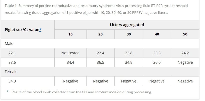 Tabella 1. Riepilogo dei risultati della soglia del ciclo RT-PCR degli emosieri&nbsp;del virus della sindrome respiratoria e riproduttiva suina in seguito all'aggregazione tissutale di 1 suinetto positivo con 10, 20, 30, 40 o 50 figliate&nbsp;PRRSV-negative
