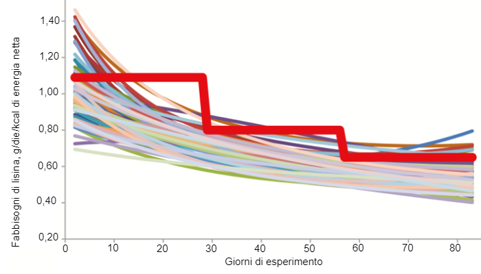 Figura 1. Fabbisogno stimato di lisina digeribile ileale dei singoli suini (linee colorate sottili) e livelli minimi di lisina digeribile ileale che devono essere ricevuti dai suini alimentati con un sistema di alimentazione di gruppo convenzionale a tre fasi (linea rossa in grassetto) secondo Hauschild et al. (2010).