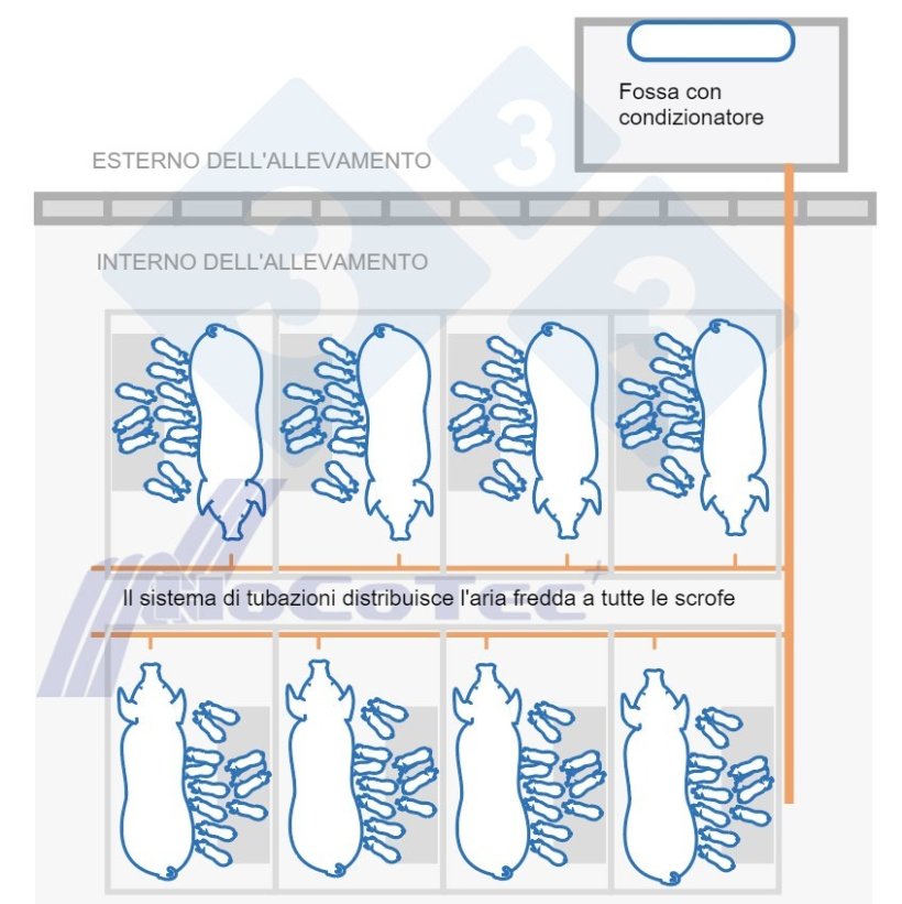 Come funziona il sistema Freshnose