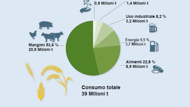 Impiego di cereali 2021/22. Dati preliminari. Fonte: BLE