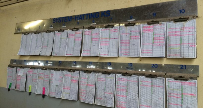 Conoscere il risultato del proprio operato indica se stiamo facendo bene o no. I mezzi visivi sono fondamentali per l'apprendimento e riconoscimento. Fonte: Telma Tucci