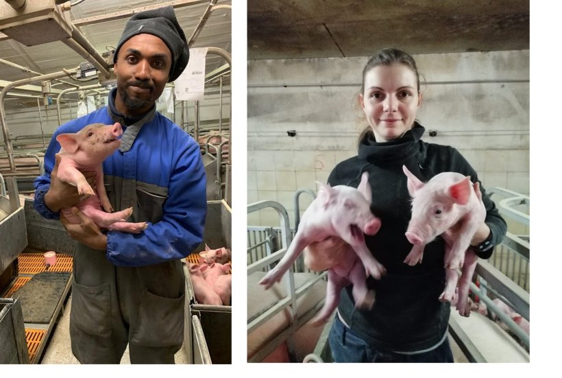 Persone felici rendono i suini felici