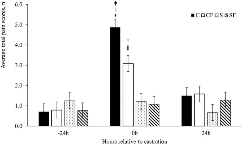 FIGURA 2. Punteggi medi&thinsp;&plusmn;&thinsp;SEM del dolore totale per i suinetti nei gruppi C, CF, S e SF. Timepoint (P&thinsp;