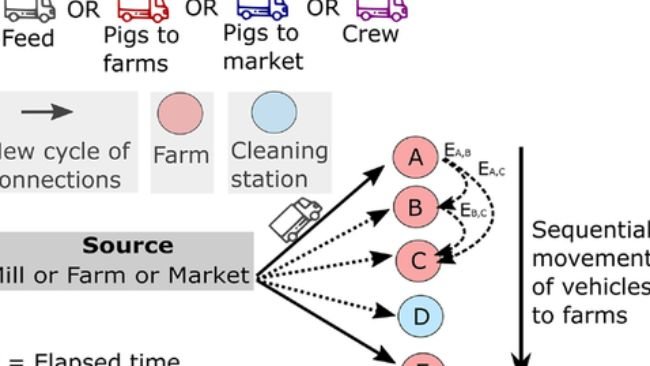 Schema dei contatti indiretti formati dai movimenti dei mezzi di trasporto. Le reti dei veicoli di trasporto sono state ricostruite sulla base di visite consecutive in allevamento di ciascun veicolo. Poiché la stabilità del PRRSV nell'ambiente è direttamente influenzata dalle condizioni ambientali, è stata ricostruita una rete di contatti considerando tutte le visite intermedie tra gli allevamenti avvenute entro 72 ore per i mesi freddi (da ottobre a marzo) ed entro 24 ore per i mesi caldi ( da aprile a settembre).