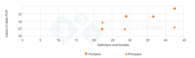 Figura 3. Evoluzione dei valori PCR Ct nelle settimane successive al 'episodo di PRRS di campioni di lingua di NM da scrofette e pluripare.