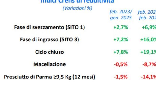 report crefis febbraio 2023