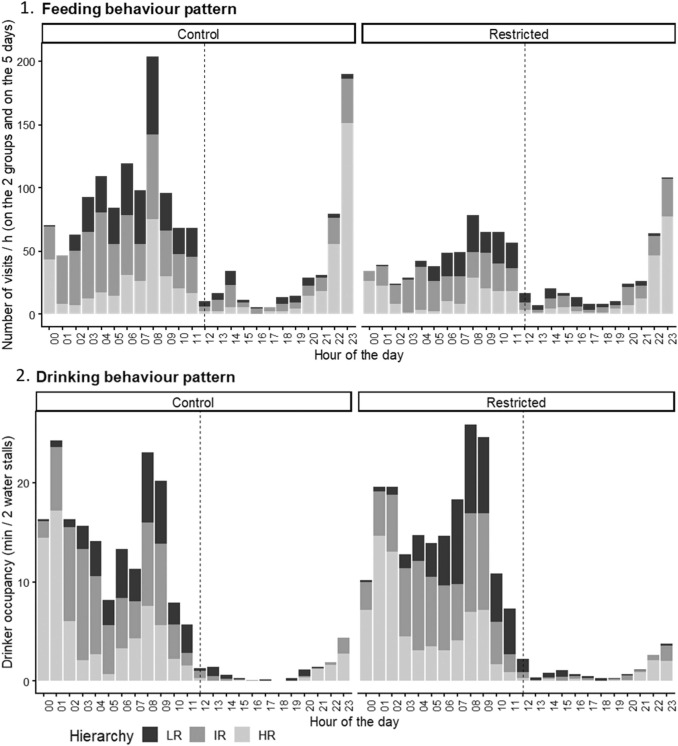 comportamento scrofe in gruppo con alimentatori tipo ESF
