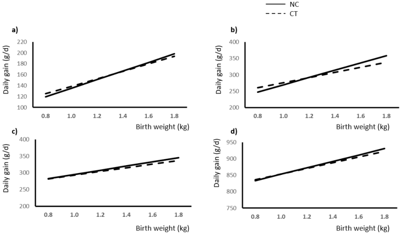 Figura 1.Relazione tra peso alla nascita (kg) e incremento giornaliero (g/d) in conseguenza della presenza (NC) o dell'assenza (CT) di cure neonatali durante: (a) prima settimana di lattazione; (b) lattazione tardiva (>7 giorni fino allo svezzamento); (c) suinetti svezzati (5 settimane dopo lo svezzamento); (d) periodo svezzamento-ingrasso