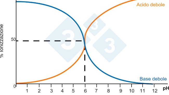 Figura 1. Solubilit&agrave; dei composti.
