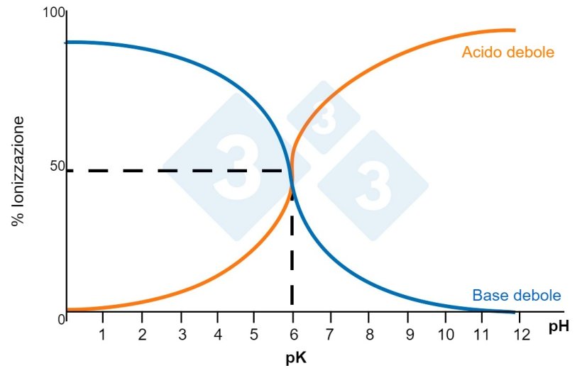 Figura 1. Solubilit&agrave; dei composti.
