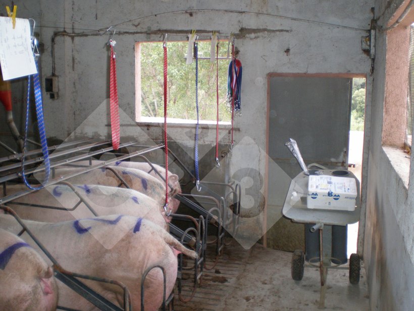 Prepariamo tutto il materiale