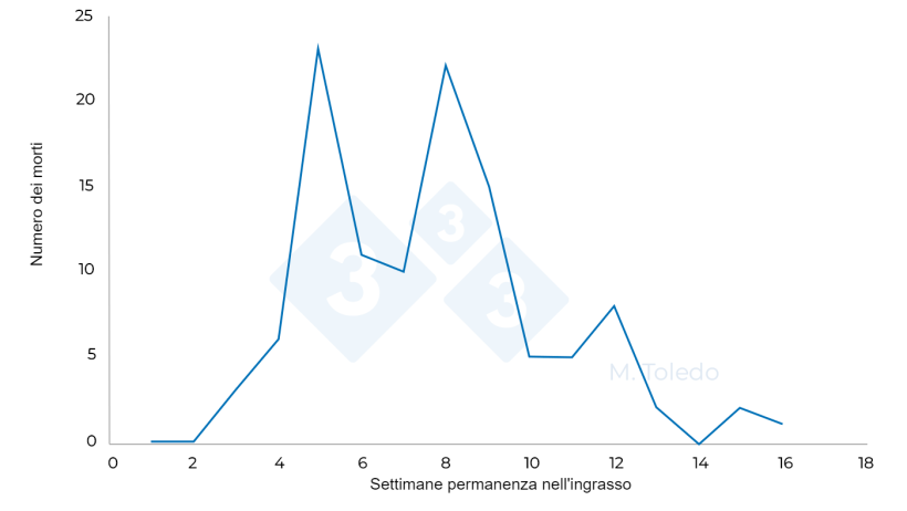Figura 3. Evoluzione delle perdite da un ingrasso dopo il trattamento: S 4-florfenicolo nell'acqua di bevanda, S6 - Marbofloxacina iniezione, S8 - Tiamulina o Lincomicina nell'acqua di bevanda.