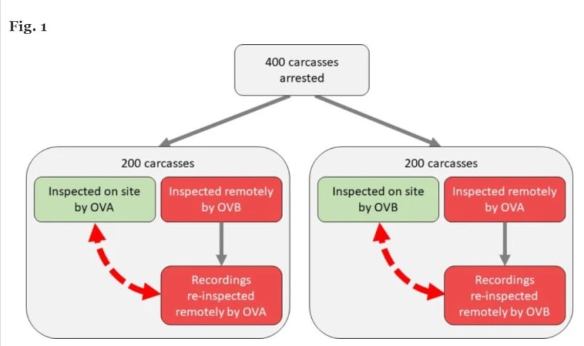 Rappresentazione schematica dei confronti tra materiale video in loco e registrato dell'ispezione post mortem delle carni eseguita da due veterinari ufficiali (VU). Fonte:&nbsp;Acta Veterinaria Scandinavica
