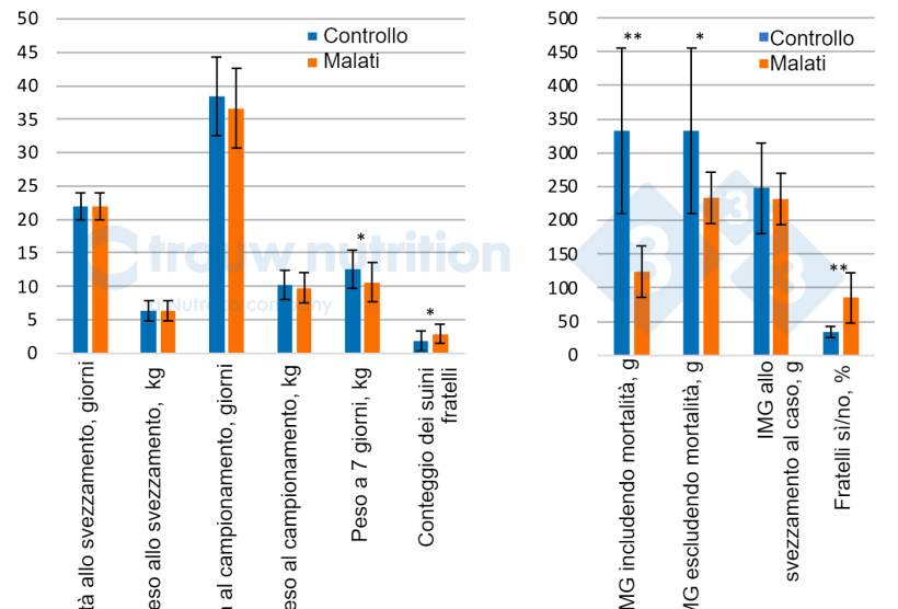 Figura 1. Prestazioni degli animali e storia della figliata tra suini malati con segni neurologici (n = 20) e controlli (n = 28). BW = peso corporeo. IMG&nbsp;= Incremento medio giornaliero&nbsp;tra: Conteggio dei Fratelli&nbsp;= rappresenta il numero di fratelli all'interno dell'insieme dei&nbsp;dati. Ai suini&nbsp;venivano dati 0, 1, 2, 3, 4, 5... quando avevano rispettivamente 0, 1, 2, 3, 5 o 4 fratelli.
