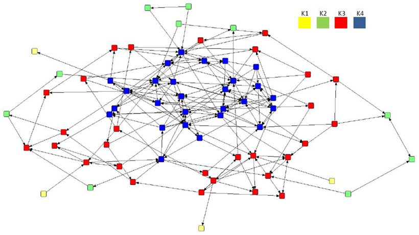 Figura 4. Sociogramma dell'associazione preferenziale diretta della rete media (n = 70) con l'analisi k-core applicata, che mostra la formazione di quattro sottogruppi all'interno della mandria tra cui K4 (n = 27), K3 (n = 29), K2 ( n = 10) e K1 (n = 4). La legenda indica il valore di cohort per ciascun sottogruppo.